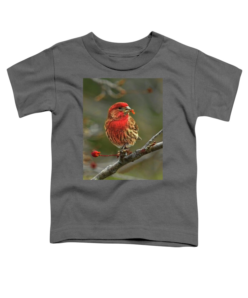 Wildlife Toddler T-Shirt featuring the photograph Male House Finch With Crabapple by Dale Kauzlaric