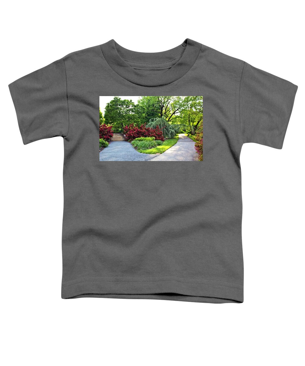 Pathways Toddler T-Shirt featuring the photograph Many Paths One Goal by Allen Nice-Webb