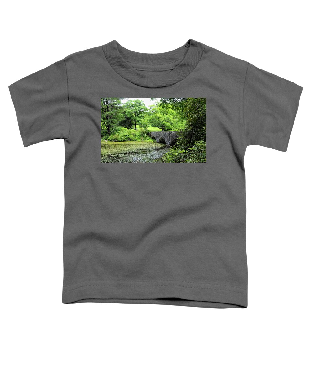 Maudslay State Park Toddler T-Shirt featuring the photograph Maudslay State Park by Liz Mackney