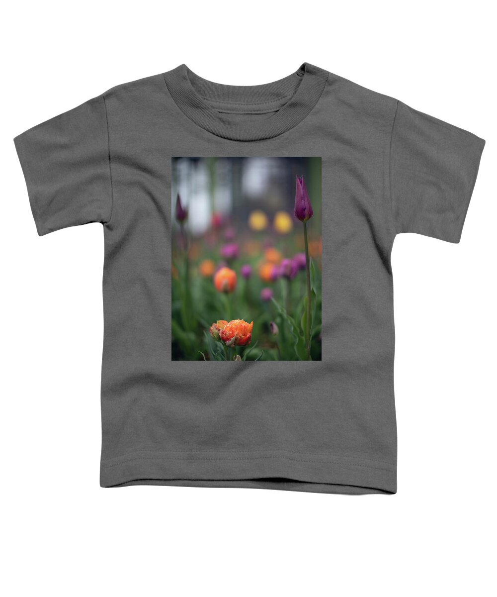 Botany Botanic Botanical Garden Flower Flowers Mist Misty Rain Outside Outdoors Budding Tulips Brian Hale Brianhalephoto New England Newengland Usa U.s.a. Ma Mass Massachusetts Moody Toddler T-Shirt featuring the photograph May Showers by Brian Hale
