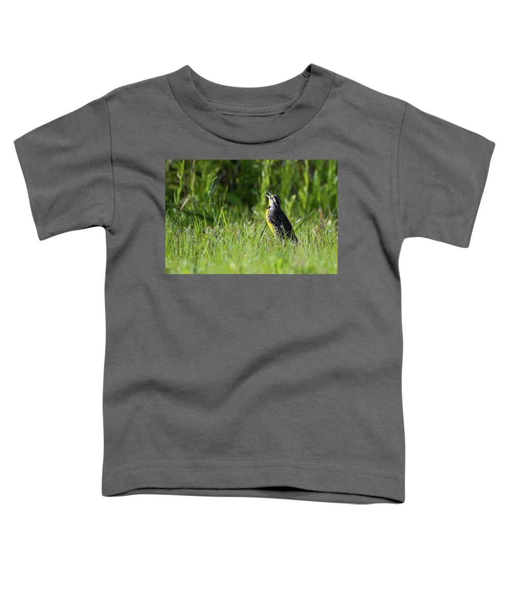 Meadowlark Toddler T-Shirt featuring the photograph Meadowlark Serenade by T Lynn Dodsworth