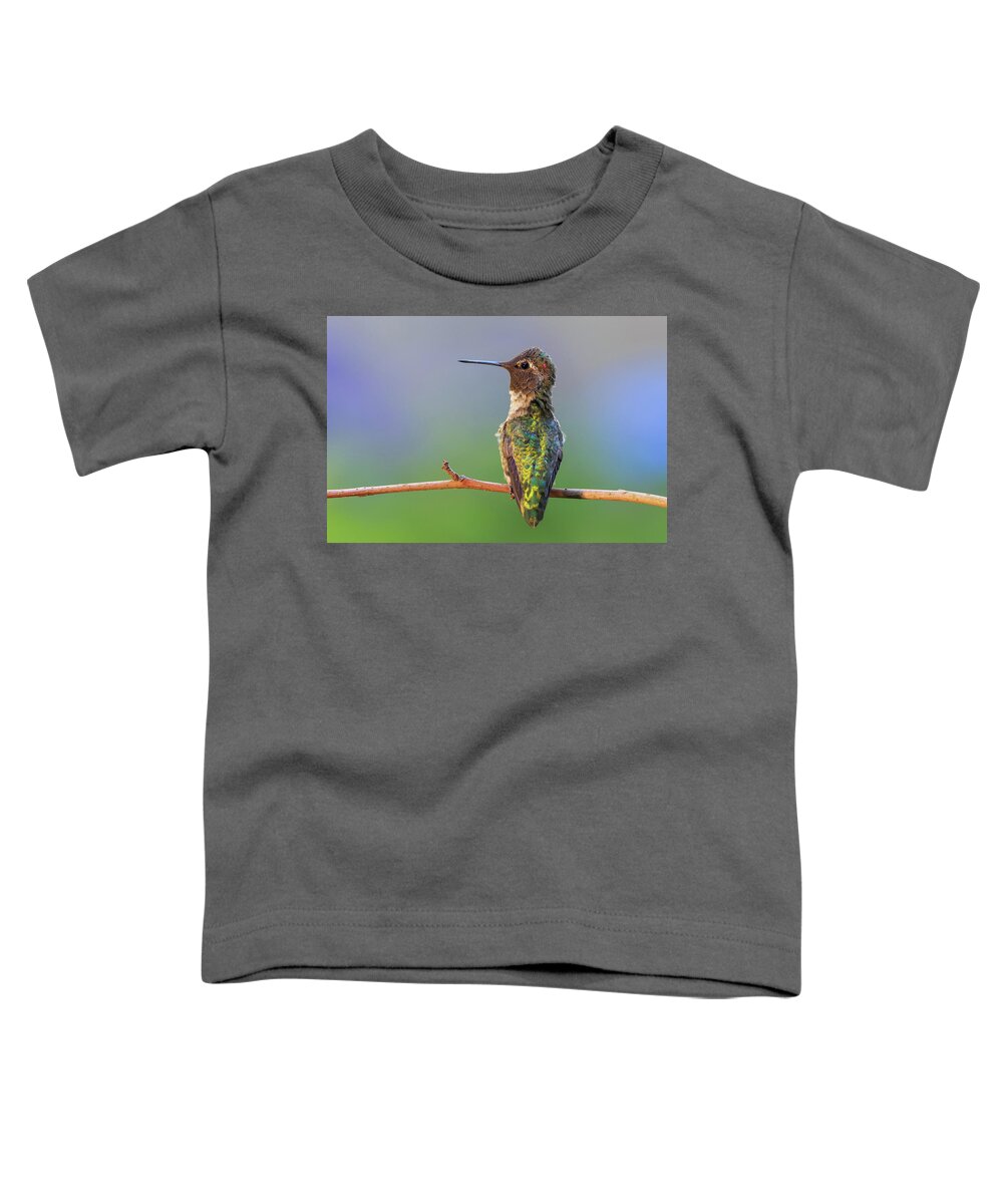 Animal Toddler T-Shirt featuring the photograph Midsummer Night's Dream V - Male Anna's Hummingbird by Briand Sanderson