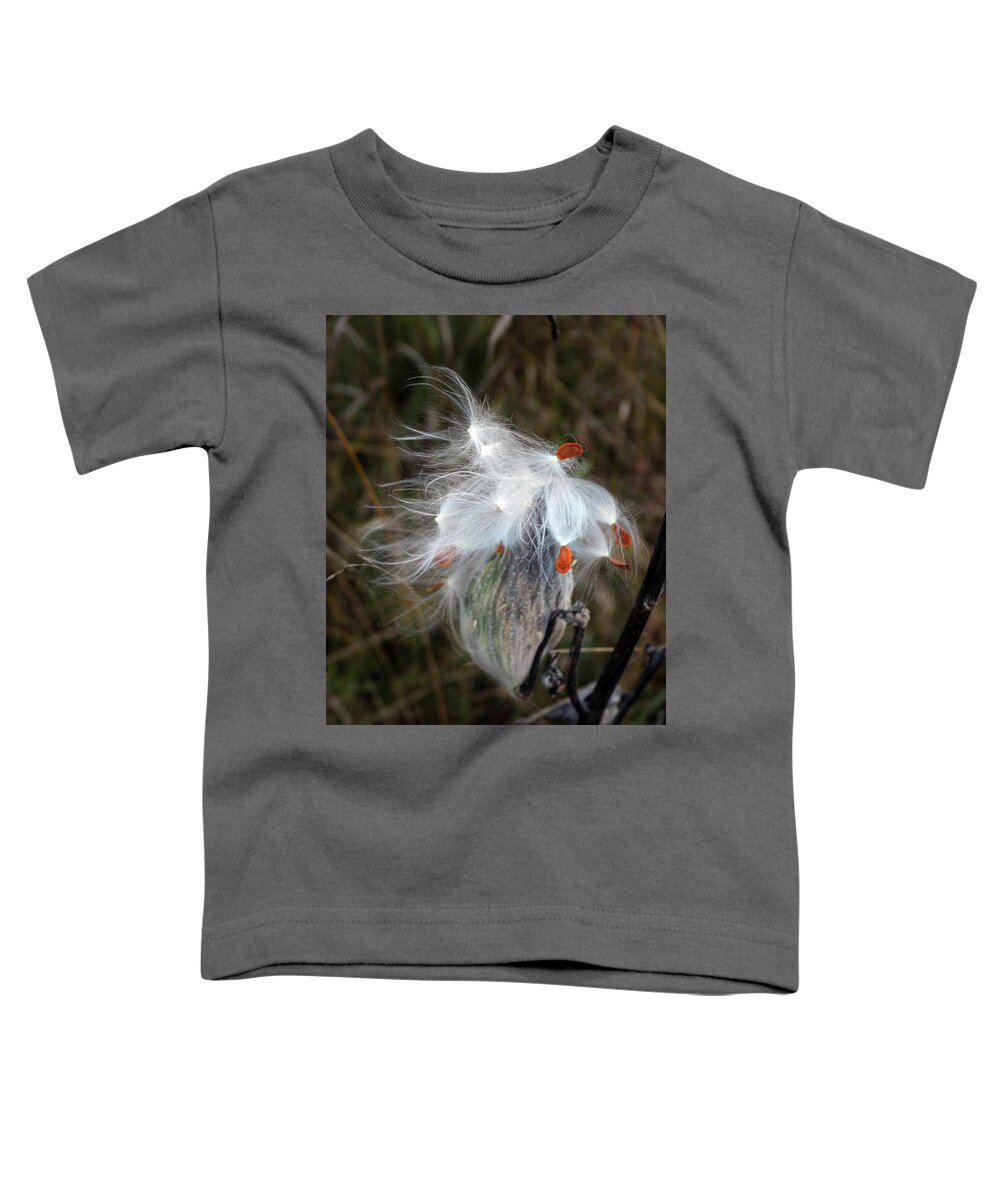 Milkweed Pods Toddler T-Shirt featuring the photograph Milkweed Pod Art by David T Wilkinson