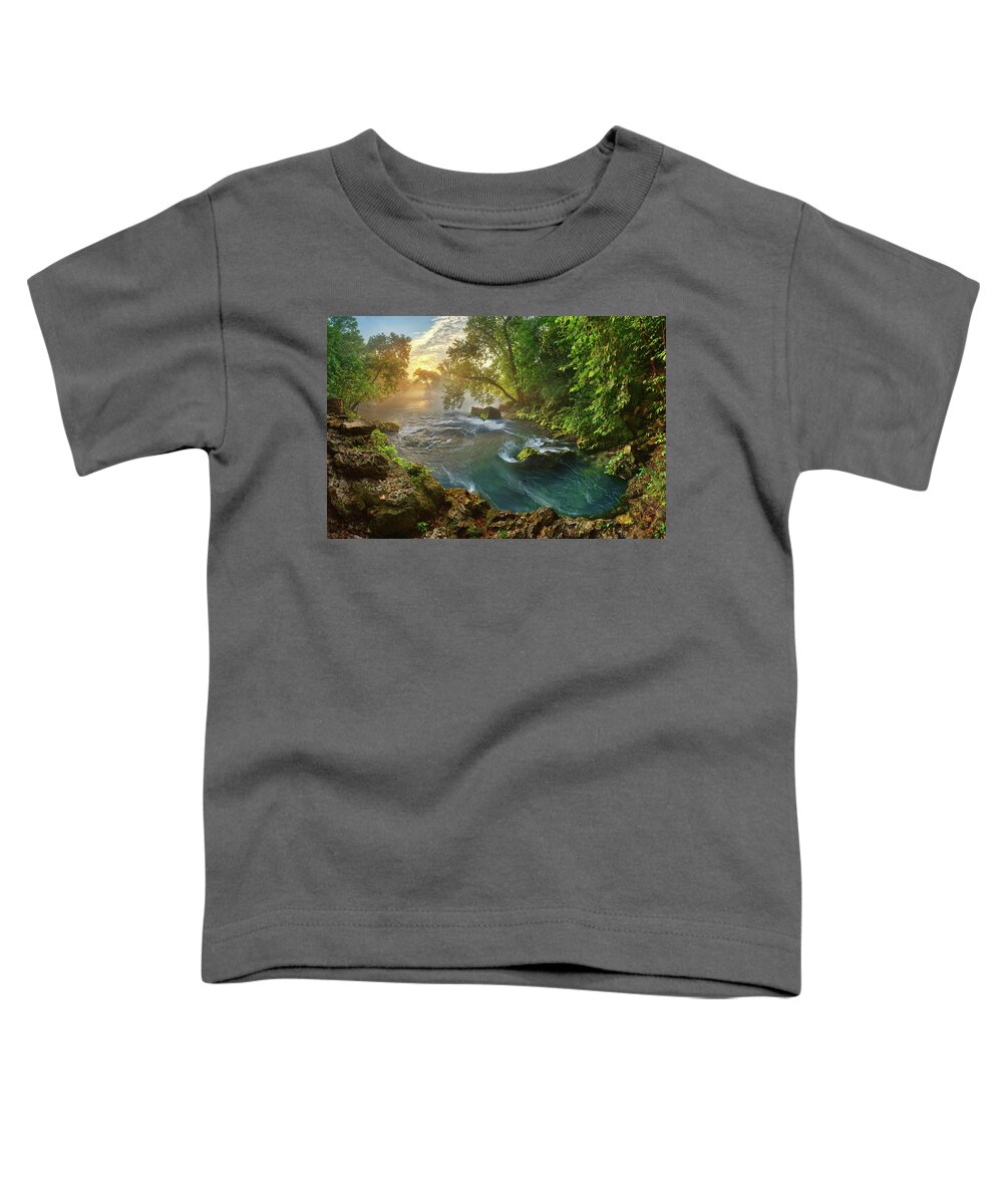 2012 Toddler T-Shirt featuring the photograph Mina Sauk Falls by Robert Charity