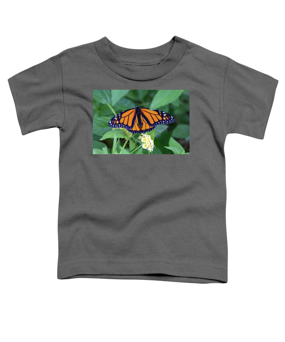 Monarch Toddler T-Shirt featuring the photograph Monarch Butterfly by Patricia Schaefer