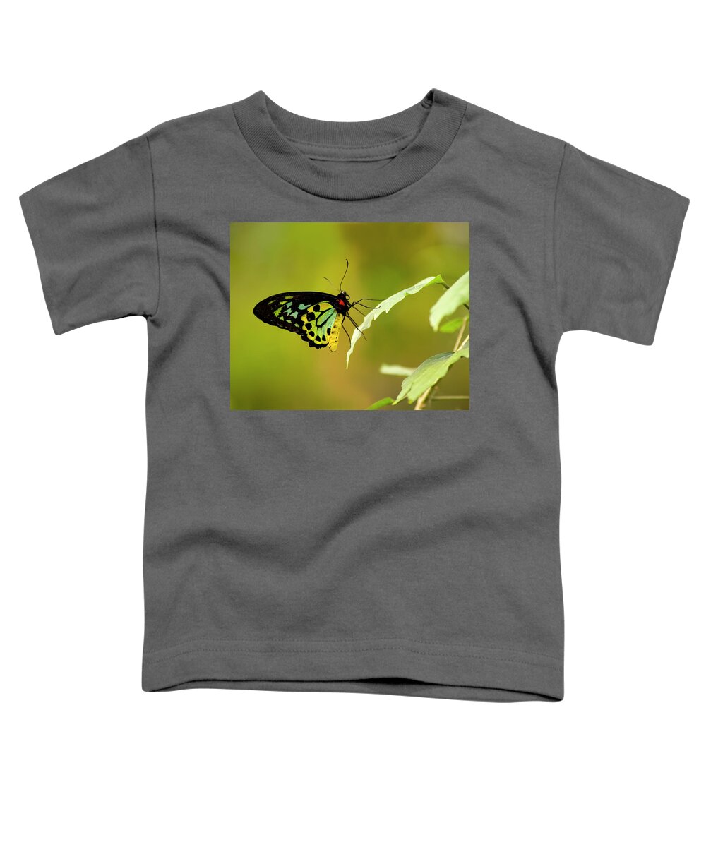 Photography Toddler T-Shirt featuring the photograph Monarch by Jeffrey PERKINS