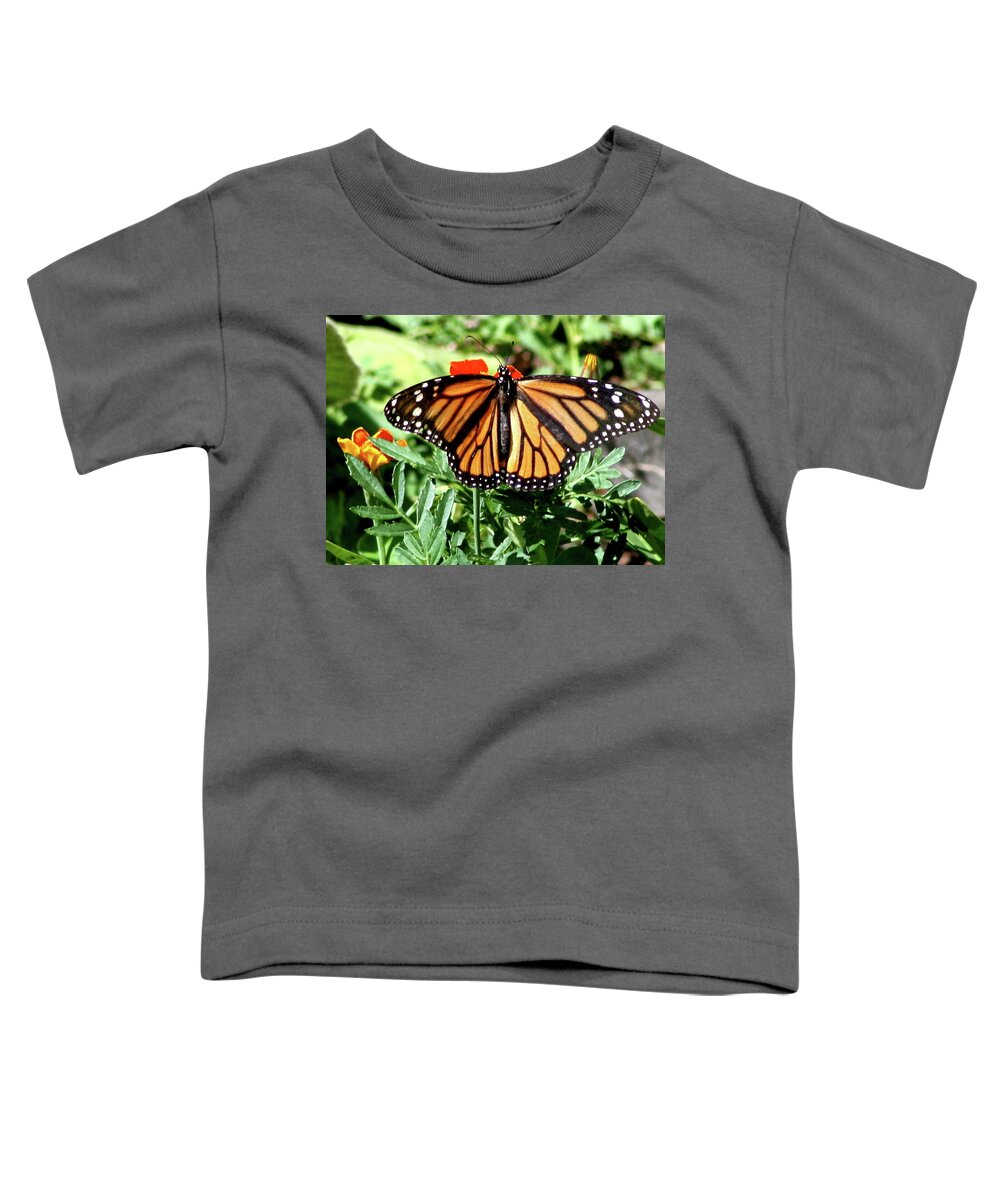 Butterfly Toddler T-Shirt featuring the photograph Monarchy by Misty Morehead