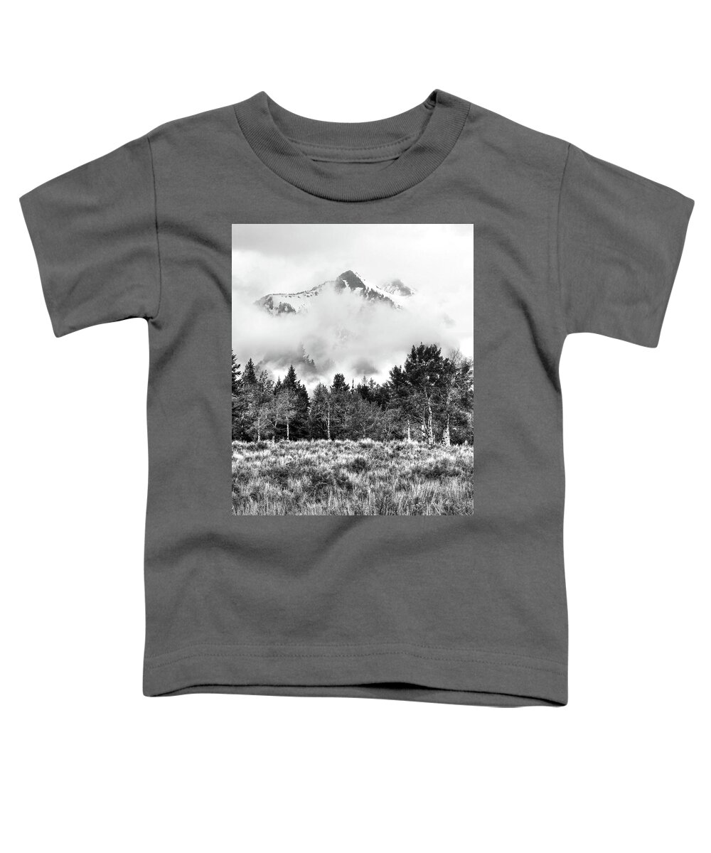 Sawtooth Mountains Toddler T-Shirt featuring the photograph Montana Mist by Randall Dill