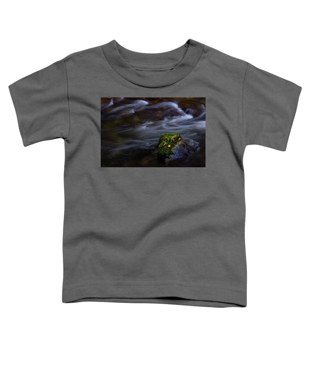 Sunset Toddler T-Shirt featuring the photograph Moss Covered Rock by Johnny Boyd