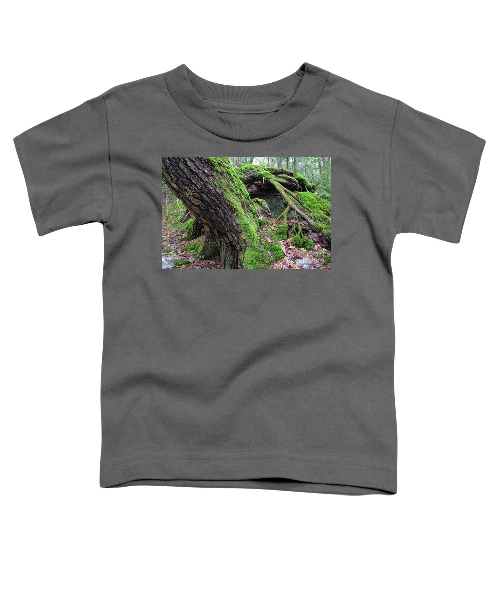 Environment Toddler T-Shirt featuring the photograph Moss Covered Tree - White Mountains, New Hampshire by Erin Paul Donovan