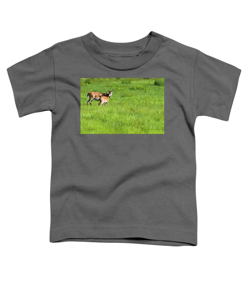 Fawn Toddler T-Shirt featuring the photograph Mother's Day Hugs Doe and Fawn by T Lynn Dodsworth