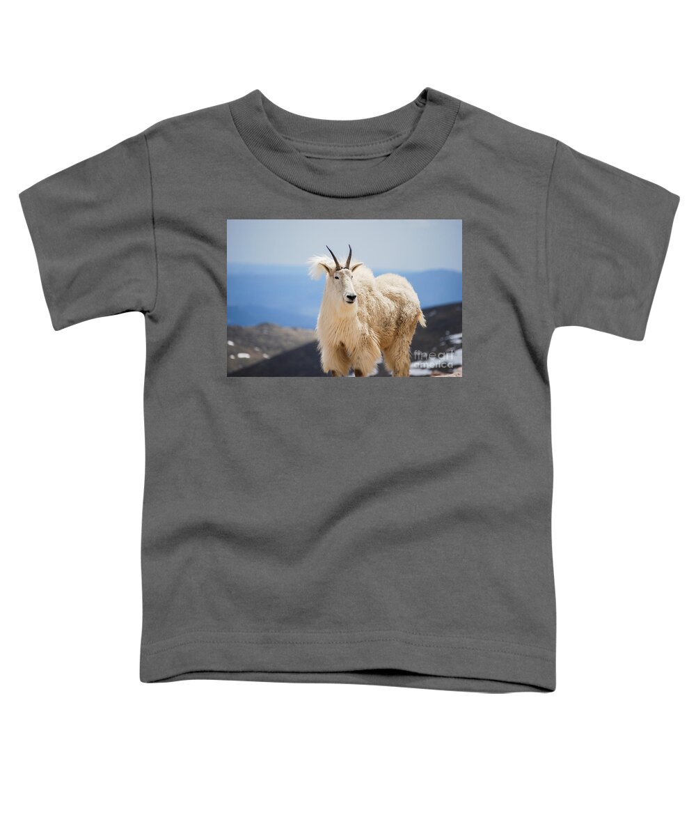 Mountain Toddler T-Shirt featuring the photograph Mountain goat #3 by Steven Liveoak