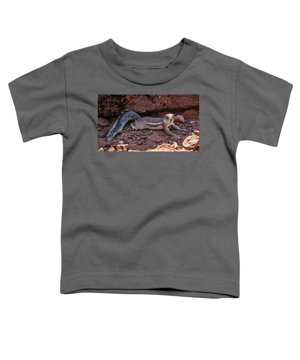 Squirrel Toddler T-Shirt featuring the photograph Namibian ground squirrel posing by Lyl Dil Creations