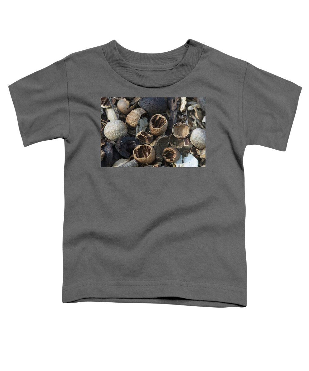 Emotion Toddler T-Shirt featuring the photograph Natures Nuts by Douglas Barnett