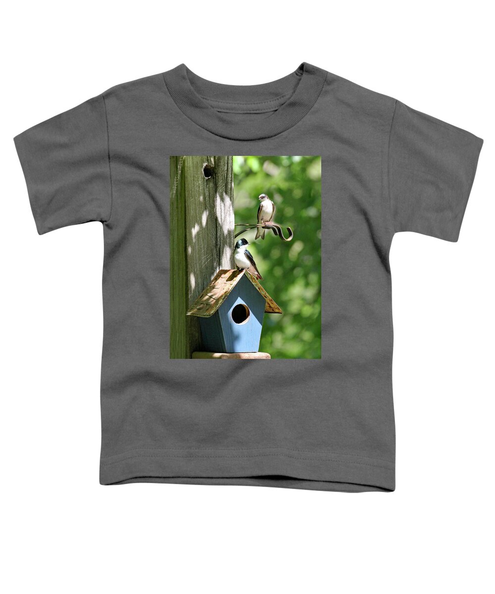 North Carolina Toddler T-Shirt featuring the photograph Nesting Tree Sparrows by Jennifer Robin