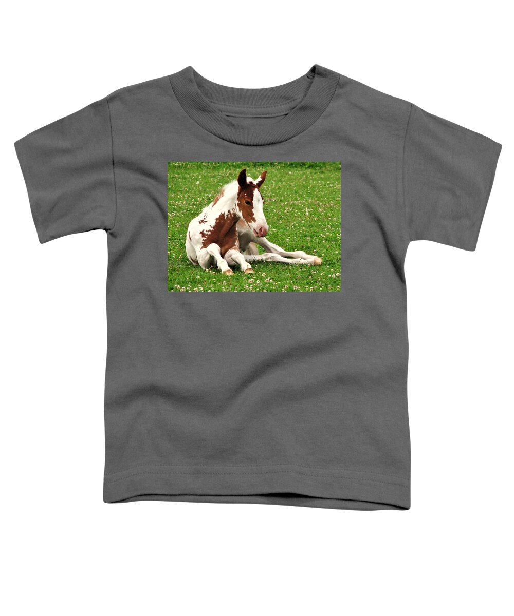 Horses Toddler T-Shirt featuring the photograph Newborn Foal by Lori Frisch