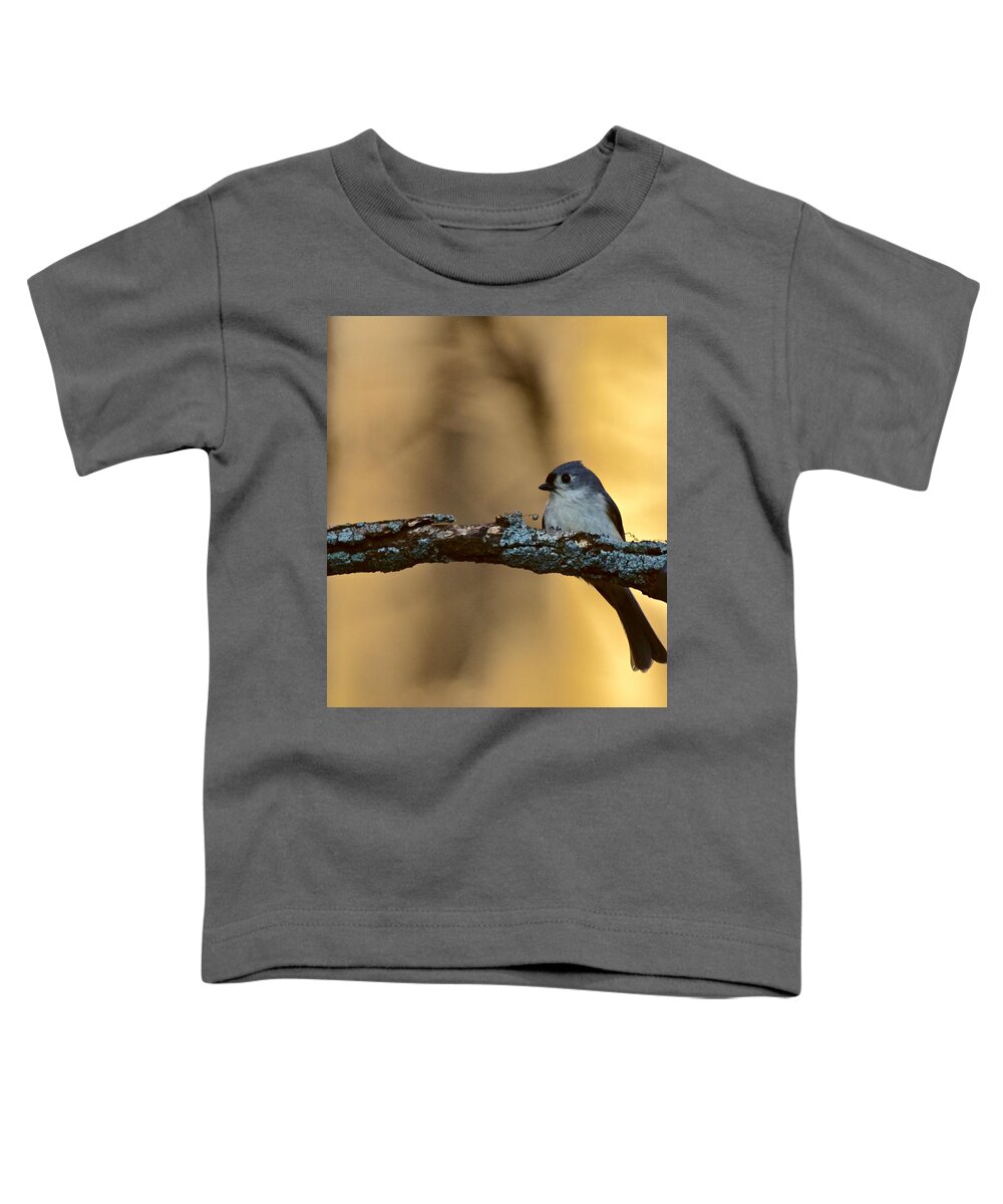 Photography Toddler T-Shirt featuring the photograph Nuthatch by Jeffrey PERKINS