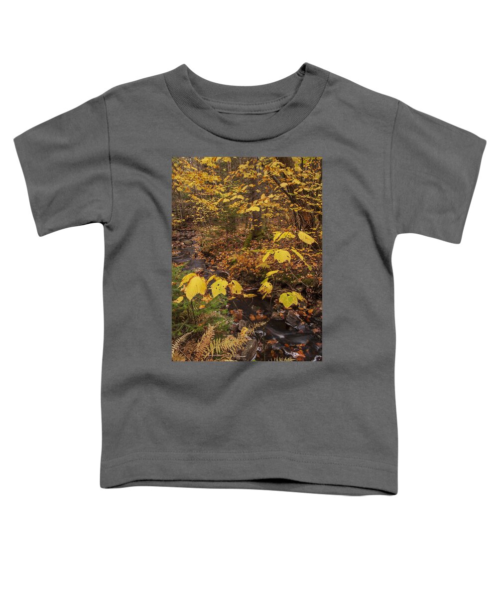 Autumn Toddler T-Shirt featuring the photograph On Golden Brook by Irwin Barrett