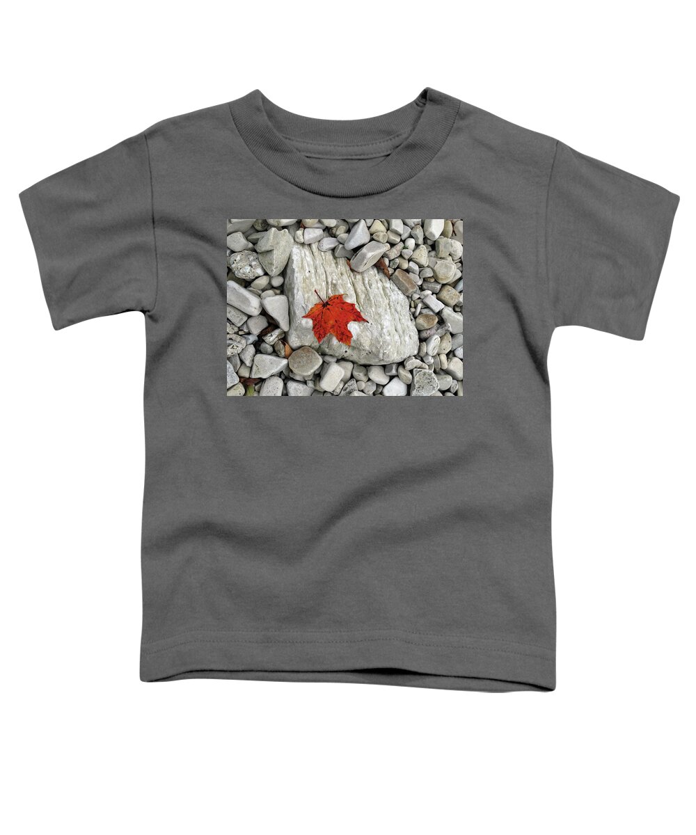 Fall Toddler T-Shirt featuring the photograph One Leaf Many Rocks by David T Wilkinson
