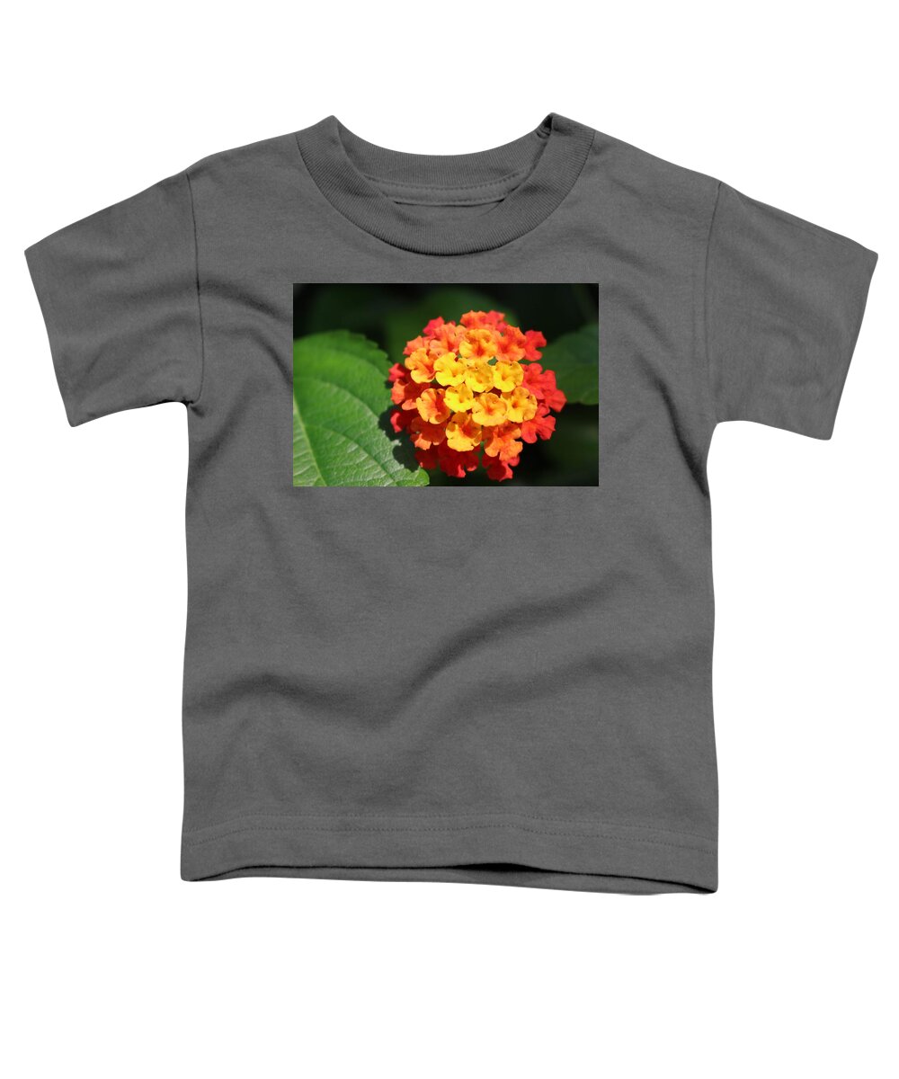 Flower Toddler T-Shirt featuring the photograph Orange Lantana by Christopher Lotito