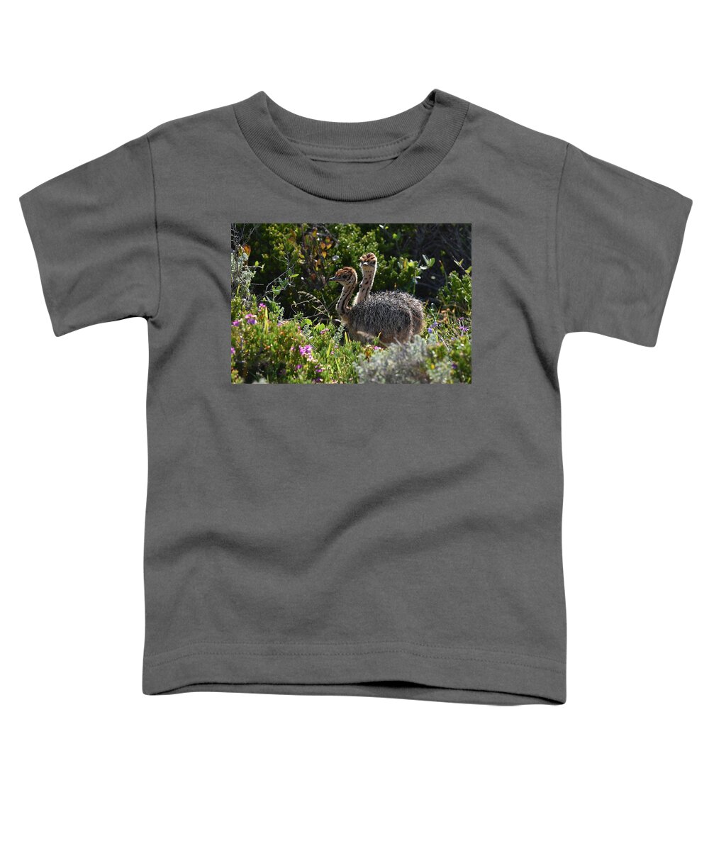 Ostrich Toddler T-Shirt featuring the photograph Ostrich Chicks by Ben Foster
