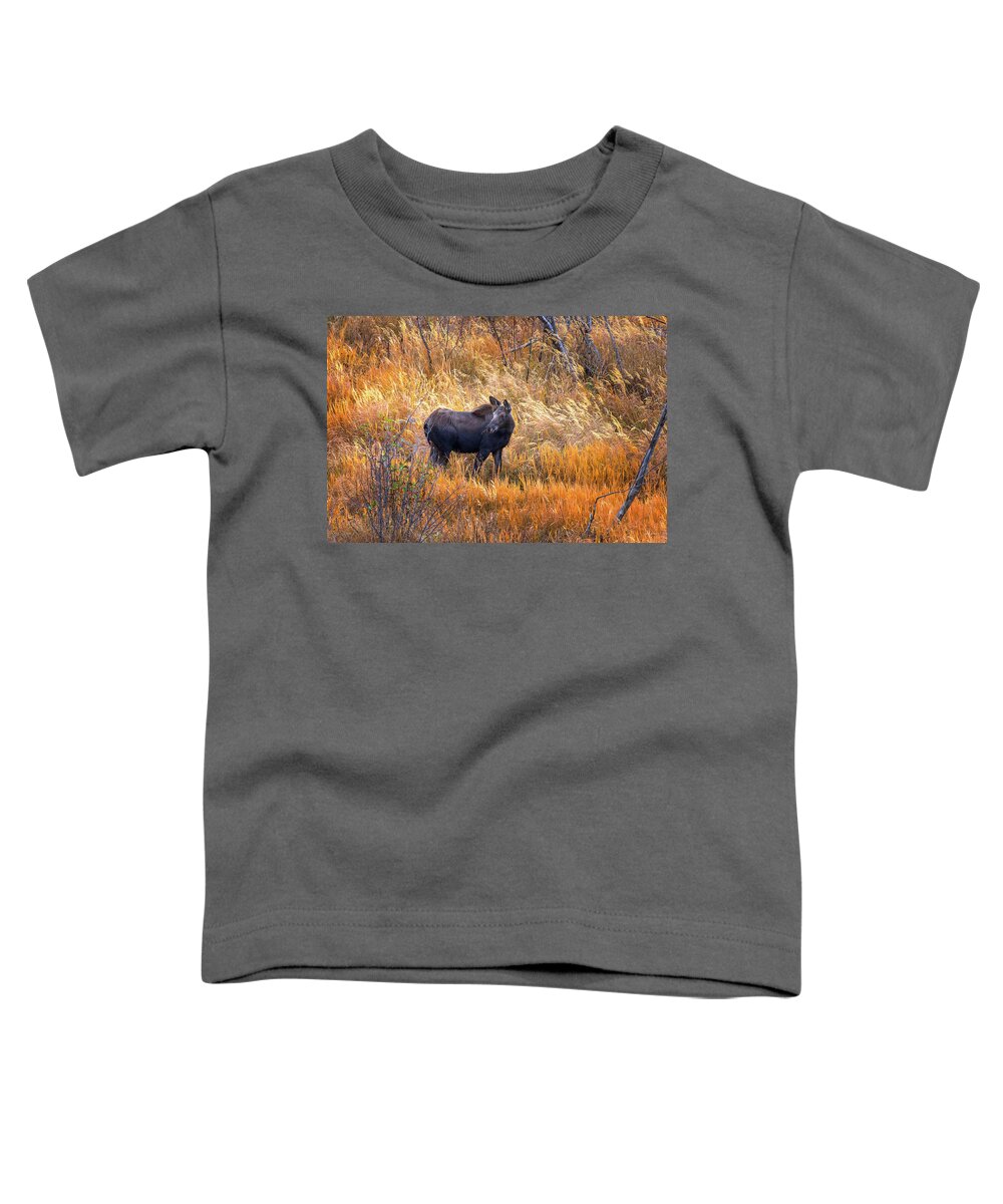 Chris Steele Toddler T-Shirt featuring the photograph Out For A Stroll by Chris Steele