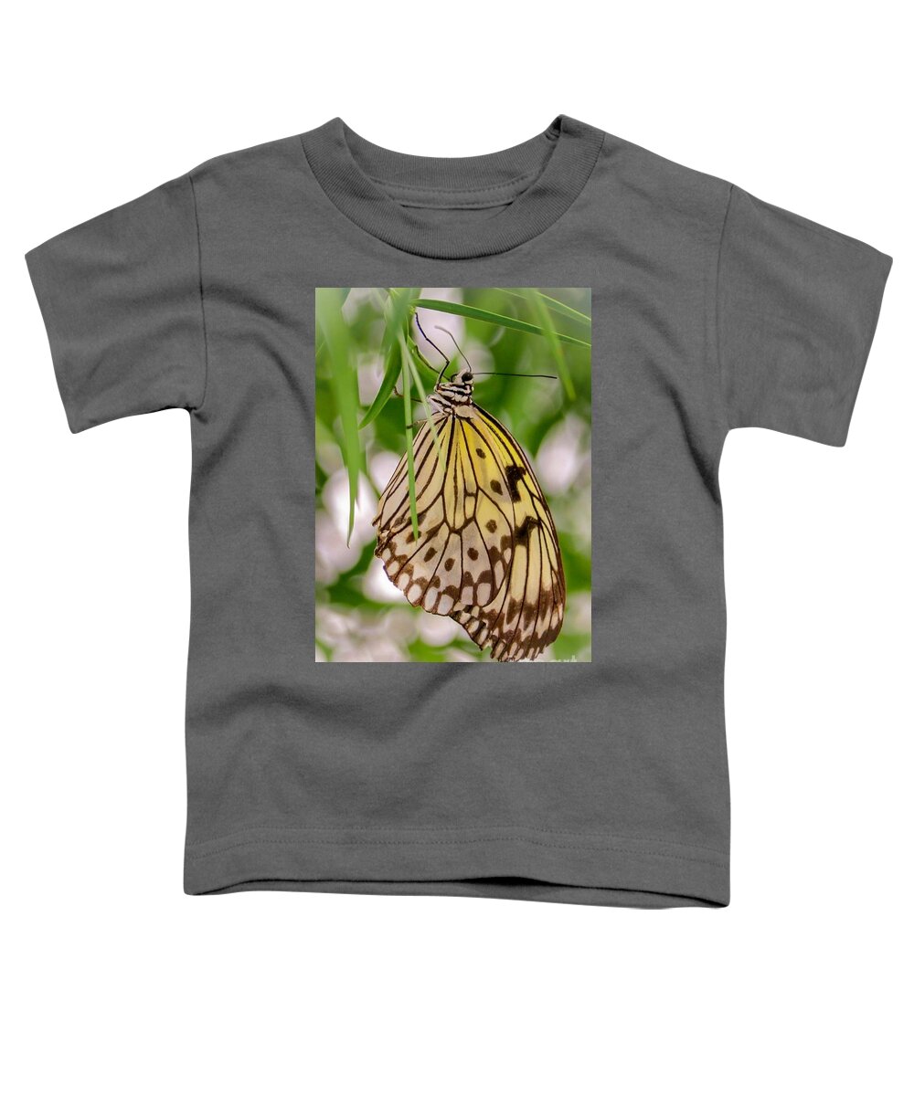 Butterfly Toddler T-Shirt featuring the photograph Paper Kite Butterfly by Susan Rydberg