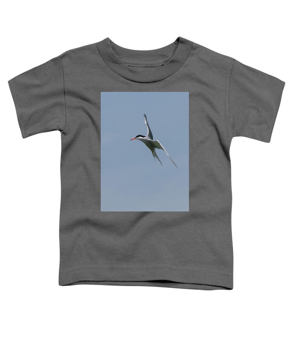 Photography Toddler T-Shirt featuring the photograph Pause and Hold by Wendy Cooper