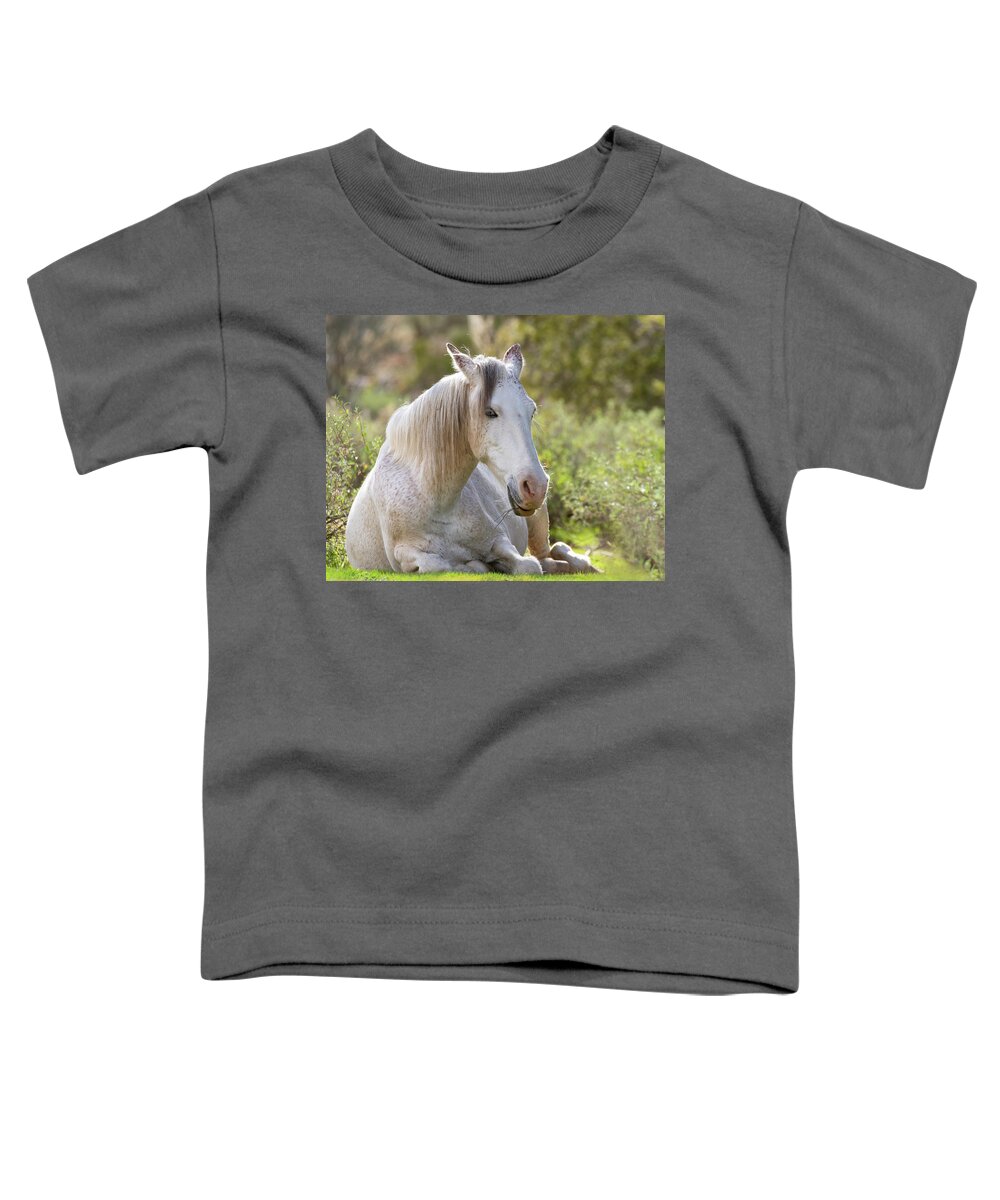 Wild Horses Toddler T-Shirt featuring the photograph Peaceful by Mary Hone