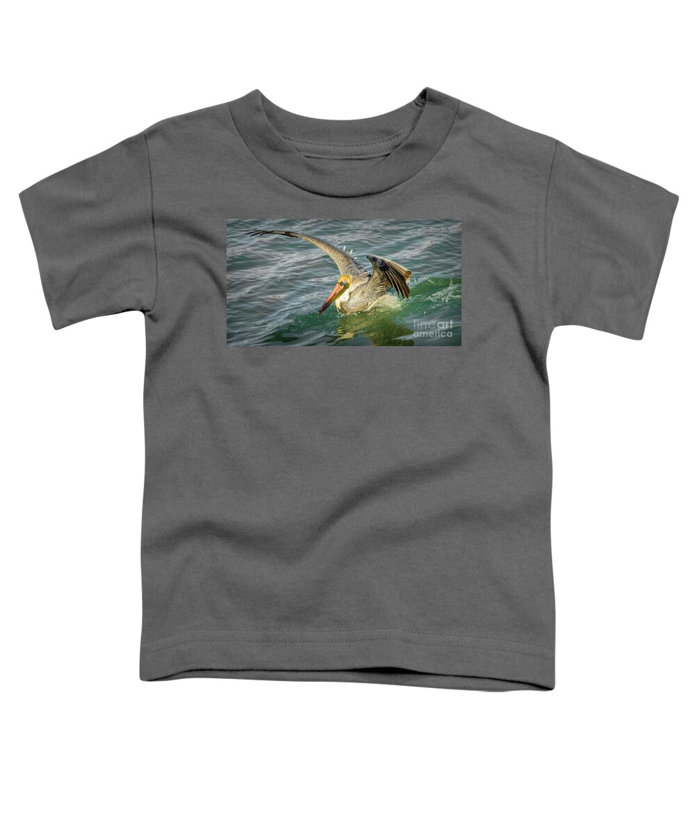 Pelican Flight Toddler T-Shirt featuring the photograph Pelican Wings by Stefano Senise