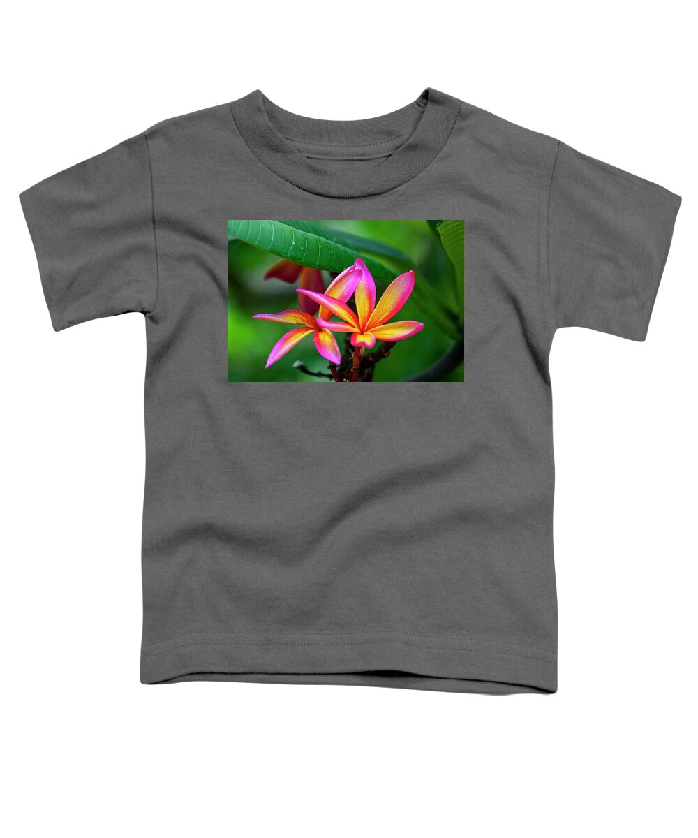 Hawaii Toddler T-Shirt featuring the photograph Pink and Yellow Plumeria by Anthony Jones