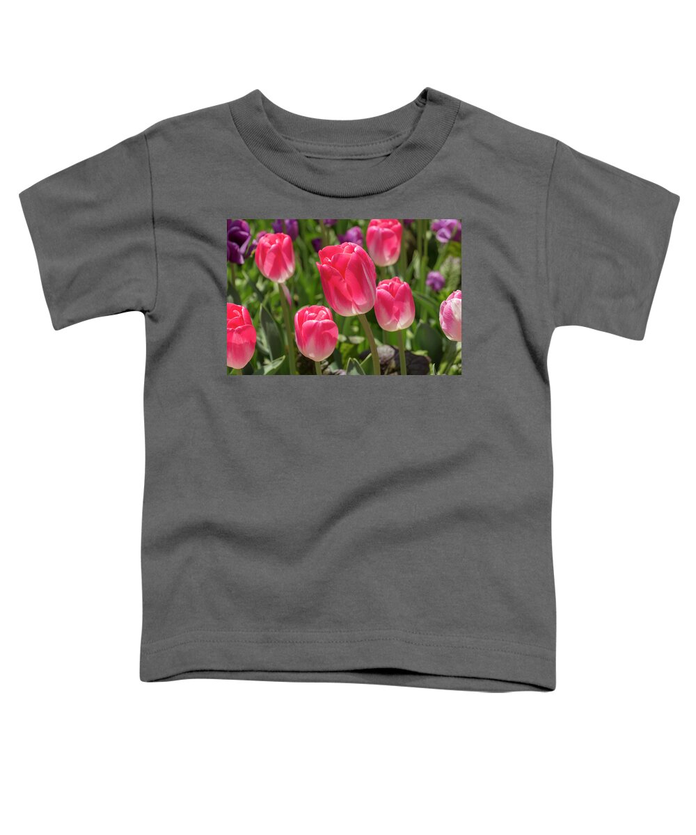 Flower Toddler T-Shirt featuring the photograph Pink Tulips by Dawn Cavalieri