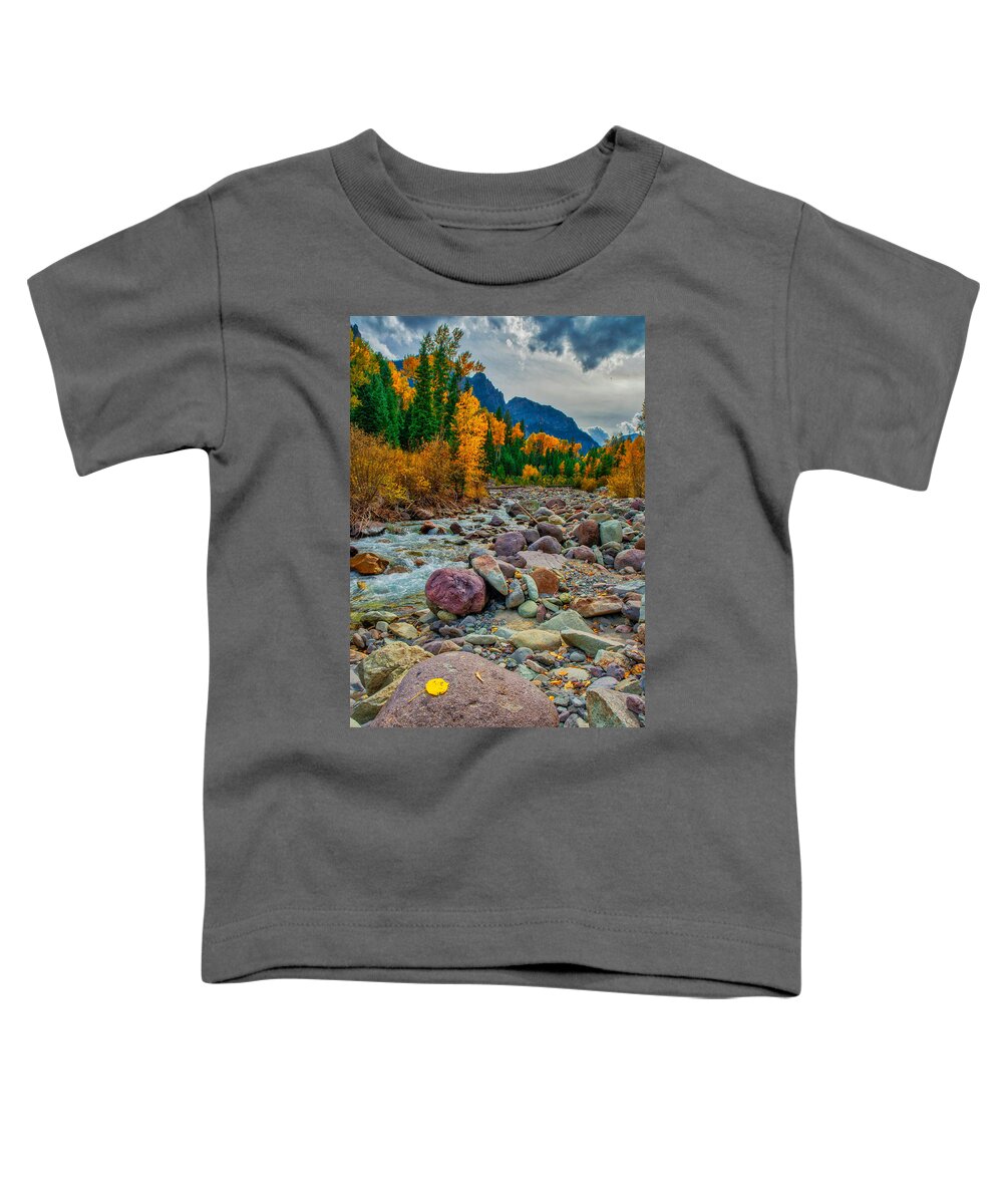 Colorado Toddler T-Shirt featuring the photograph Point Of Color by Tom Gresham