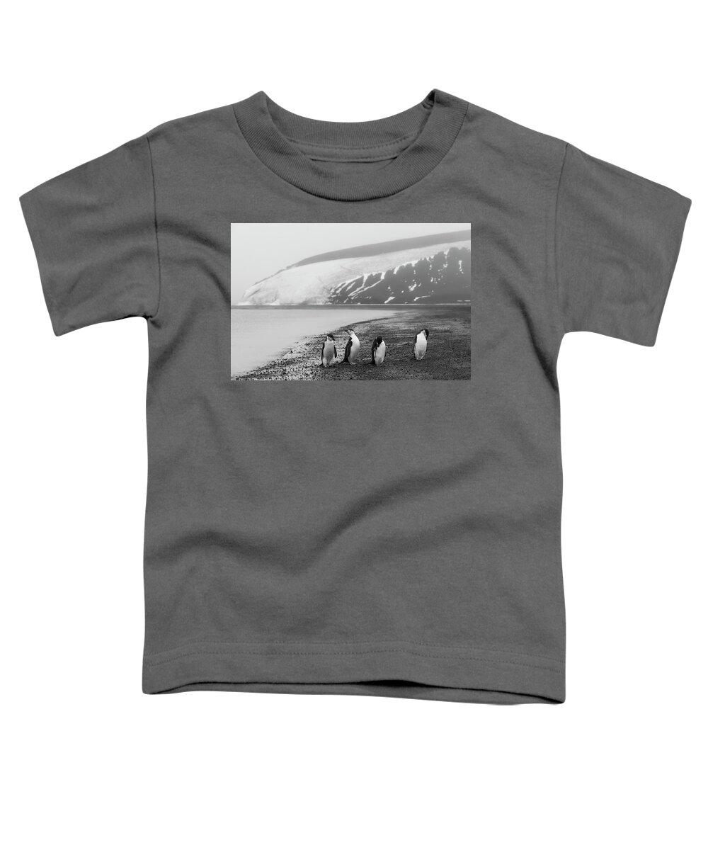 Penguins Toddler T-Shirt featuring the photograph Police Lineup by Alex Lapidus