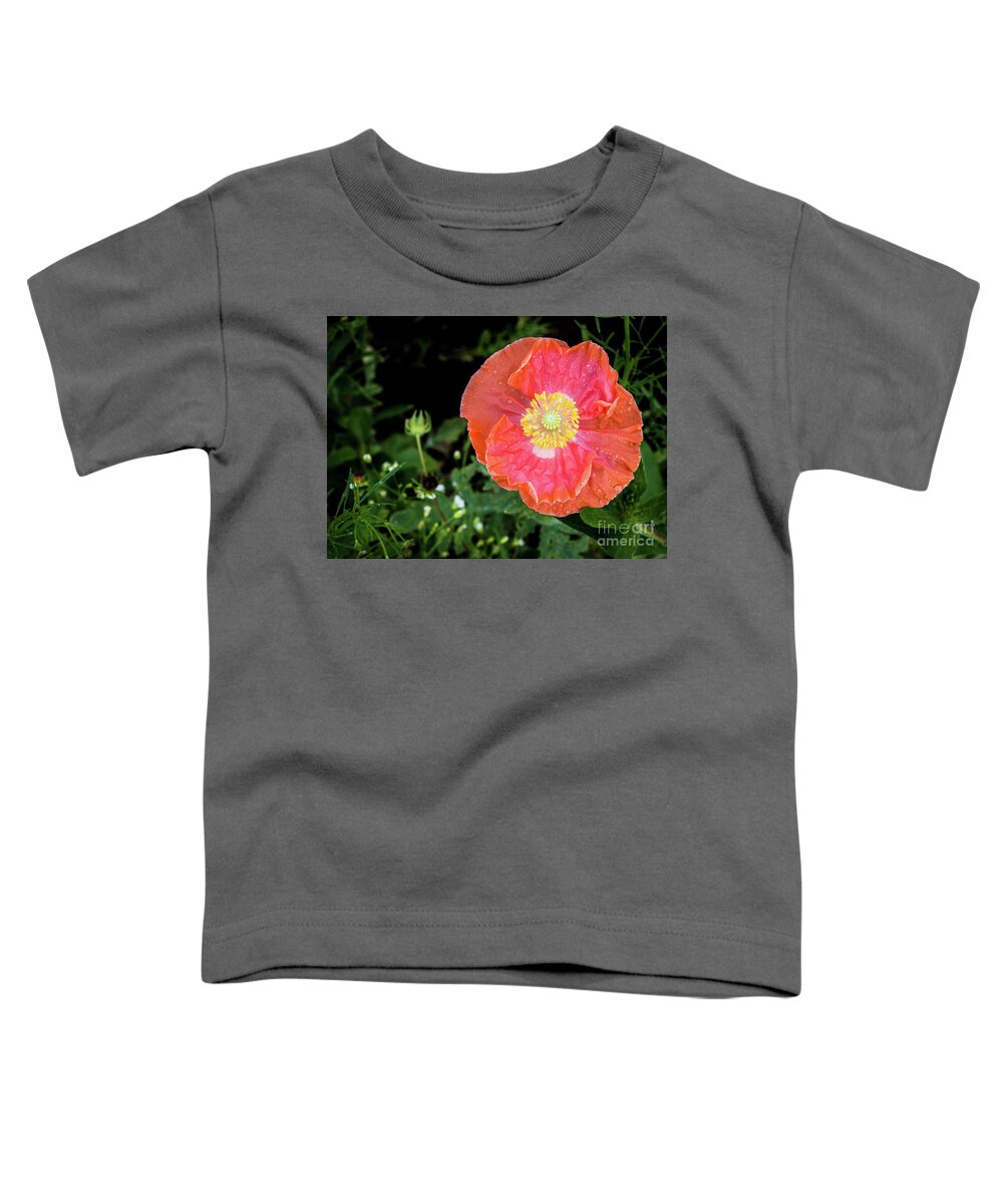 #poppy #coral #flower #spring #summer #petals #yellow #orange #pink #green #wildflowers Toddler T-Shirt featuring the photograph Poppy by Cheryl McClure