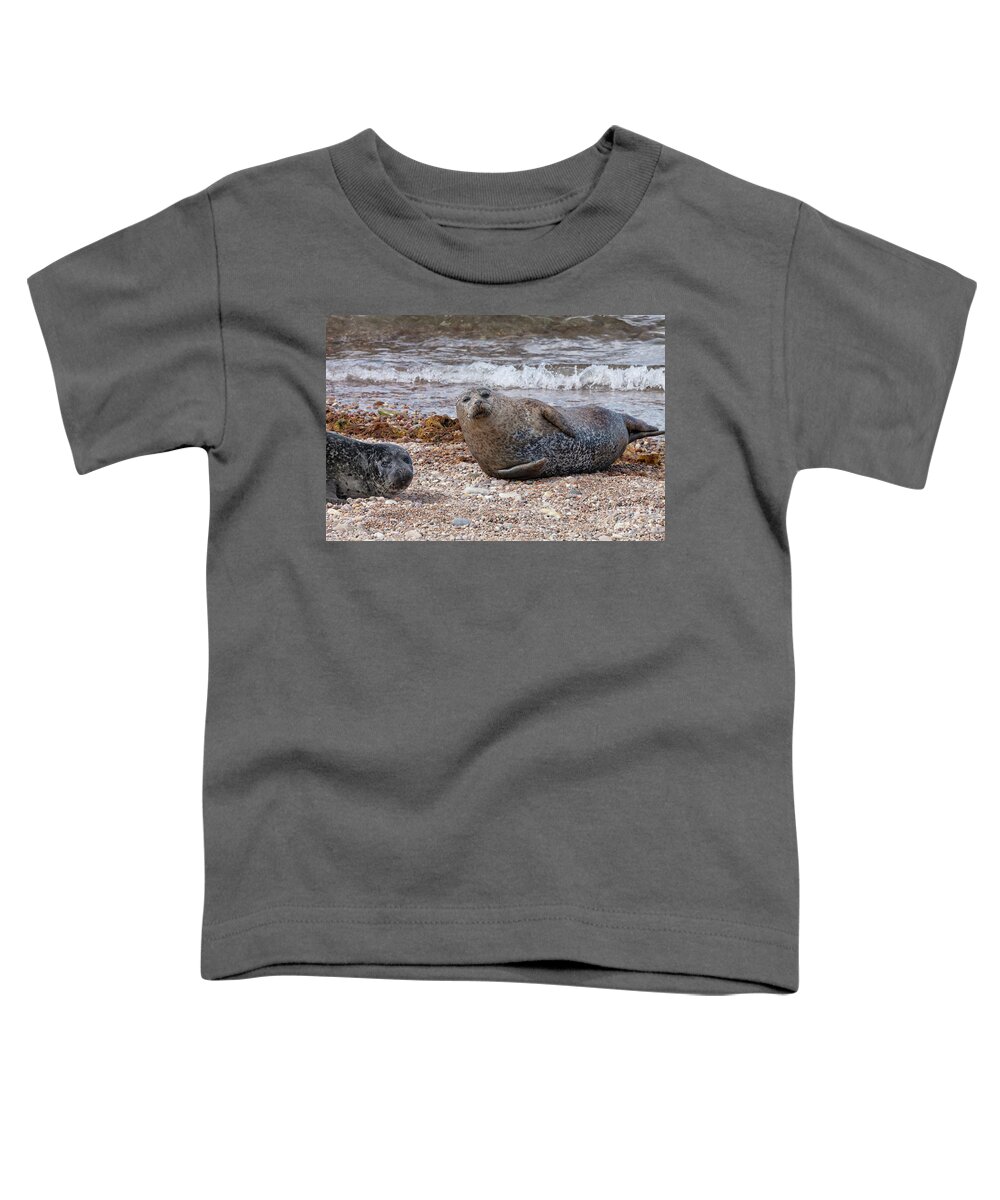 Portgordon Toddler T-Shirt featuring the photograph Portgordon Seals #2 by Diane Macdonald
