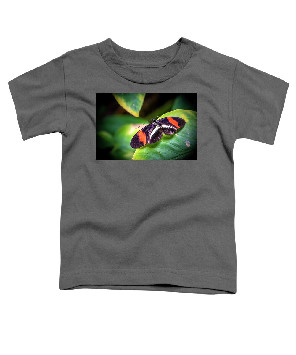 Butterfly Jungle Toddler T-Shirt featuring the photograph Postman Butterfly by Donald Pash