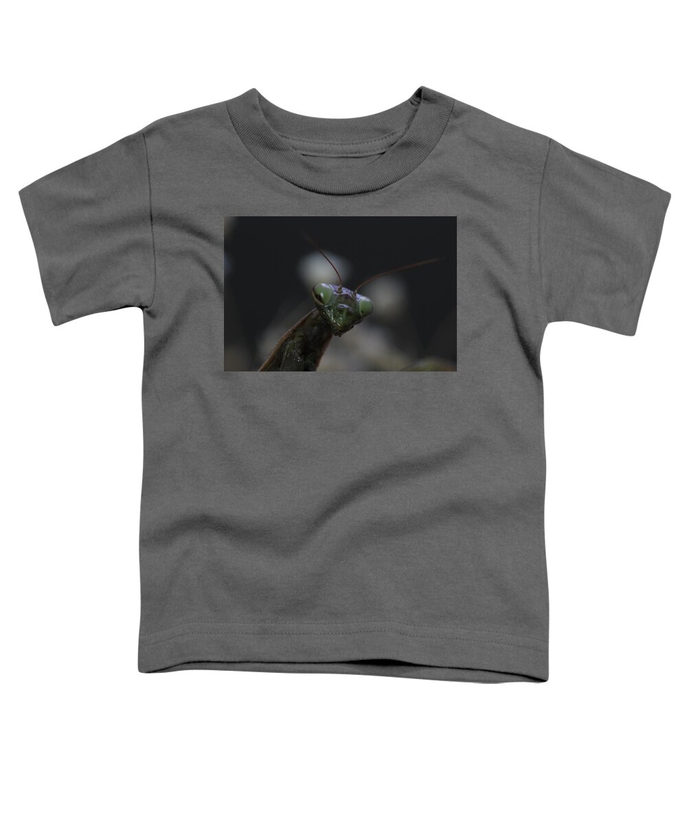 Mantis Toddler T-Shirt featuring the photograph Praying mantis by Martin Smith