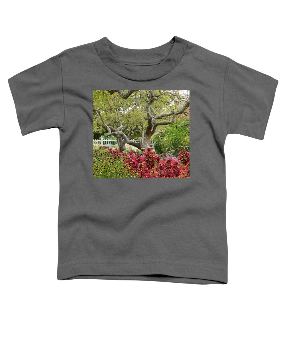 Tree Toddler T-Shirt featuring the photograph - Prescott Tree, Portsmouth NH by THERESA Nye