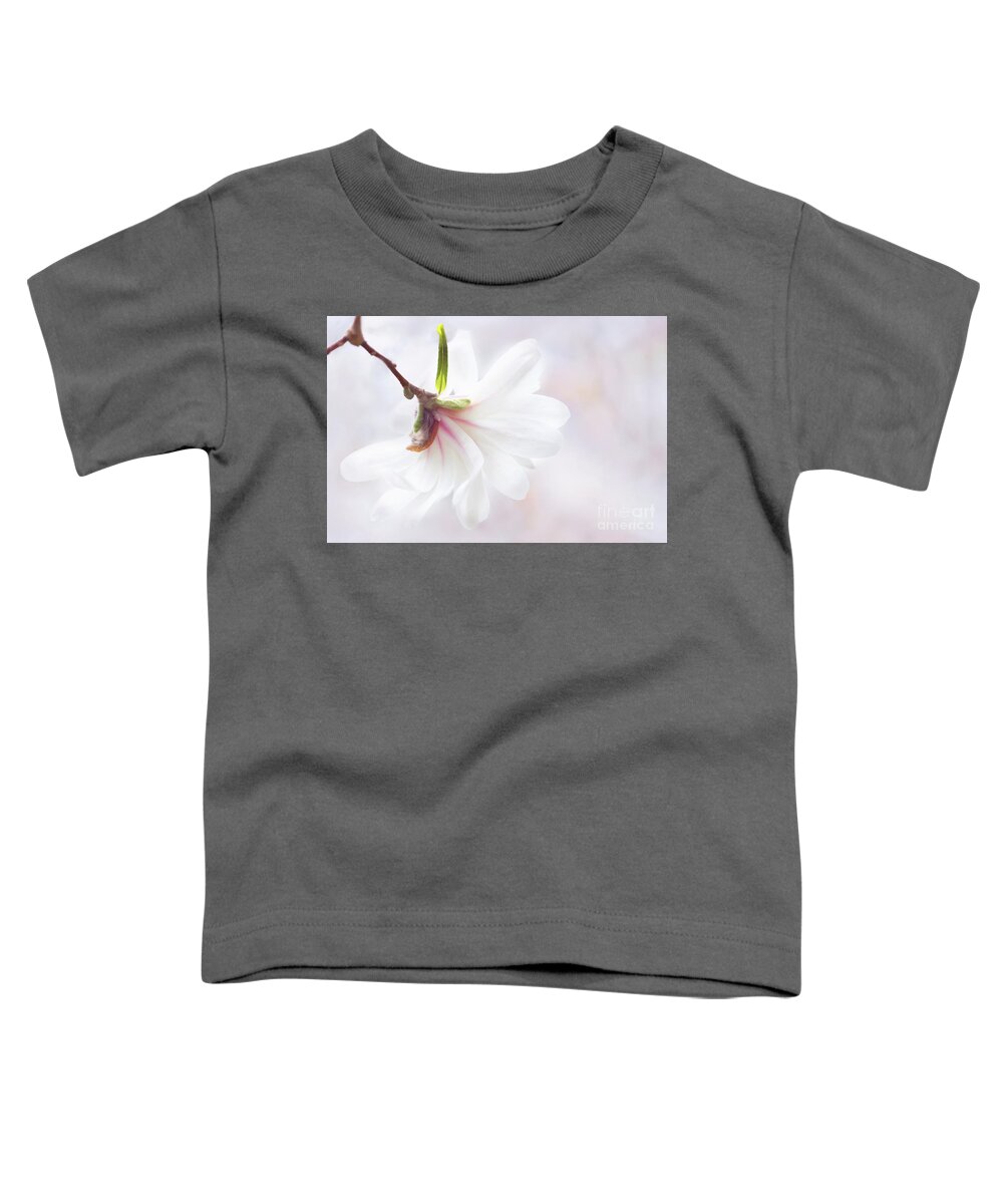 Star Magnolia Toddler T-Shirt featuring the photograph Pretty in Pastel Star Magnolia by Anita Pollak