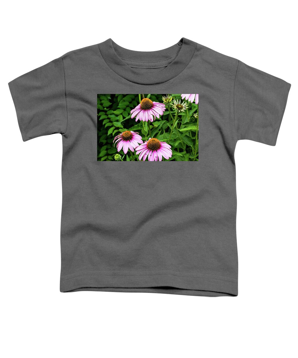 Flower Toddler T-Shirt featuring the digital art Purple Echinacea ConeFlower by Ed Stines