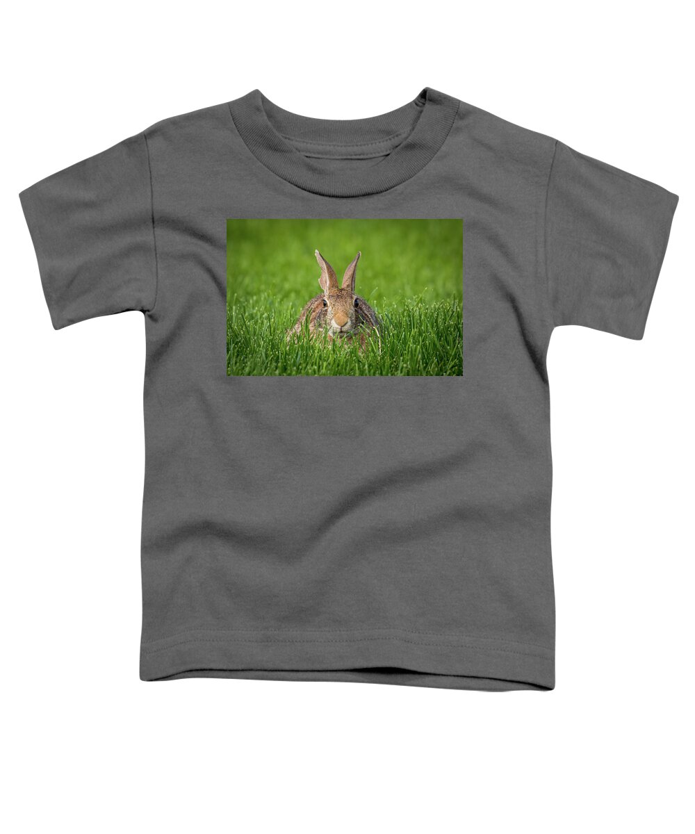 Rabbit Toddler T-Shirt featuring the photograph Rabbit Gaze by Allin Sorenson