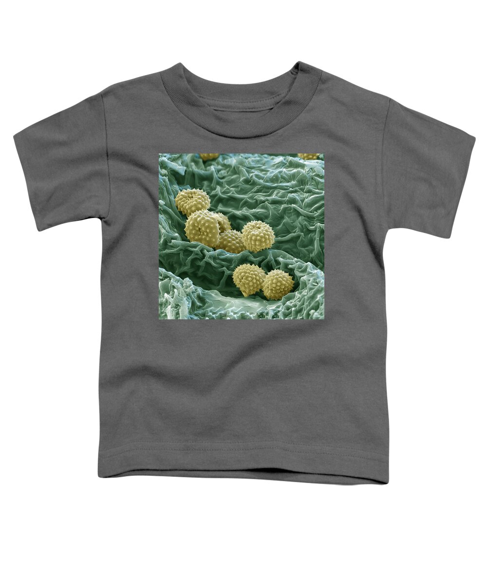Allergen Toddler T-Shirt featuring the photograph Ragweed Pollen by Meckes/ottawa