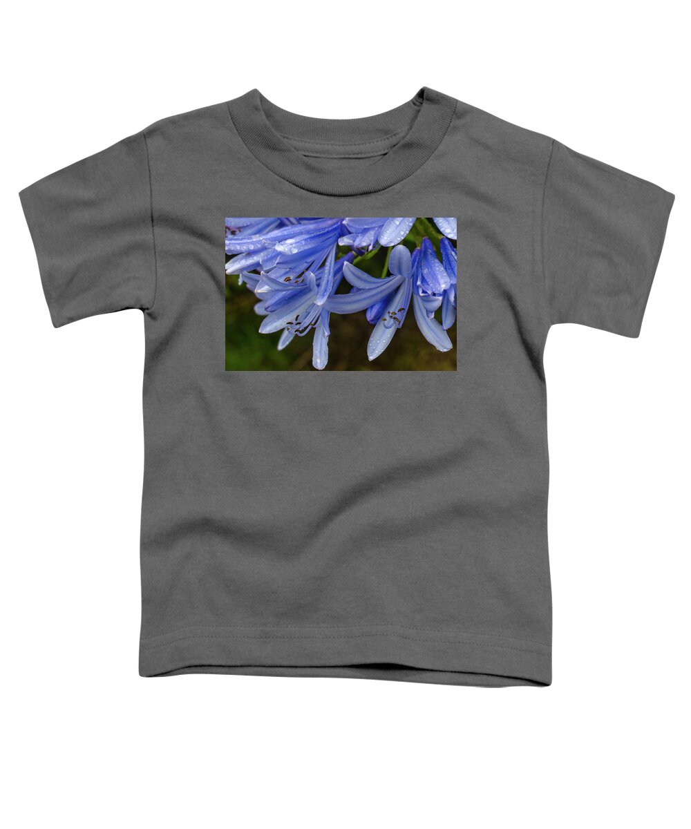Alii Kula Lavender Farm Toddler T-Shirt featuring the photograph Rain Drops on Blue Flower by Jeff Phillippi