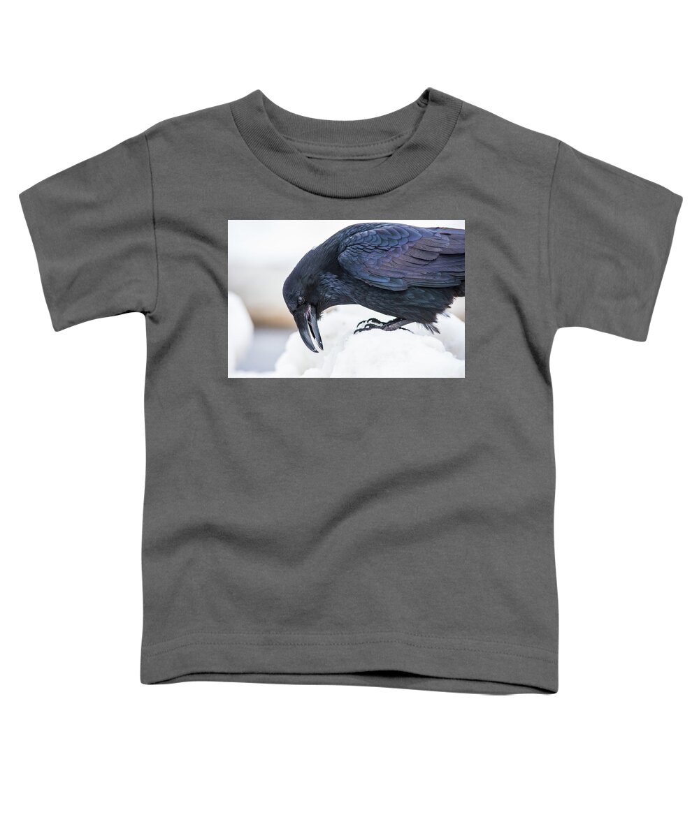 Raven Toddler T-Shirt featuring the photograph Raven 2 by David Kirby