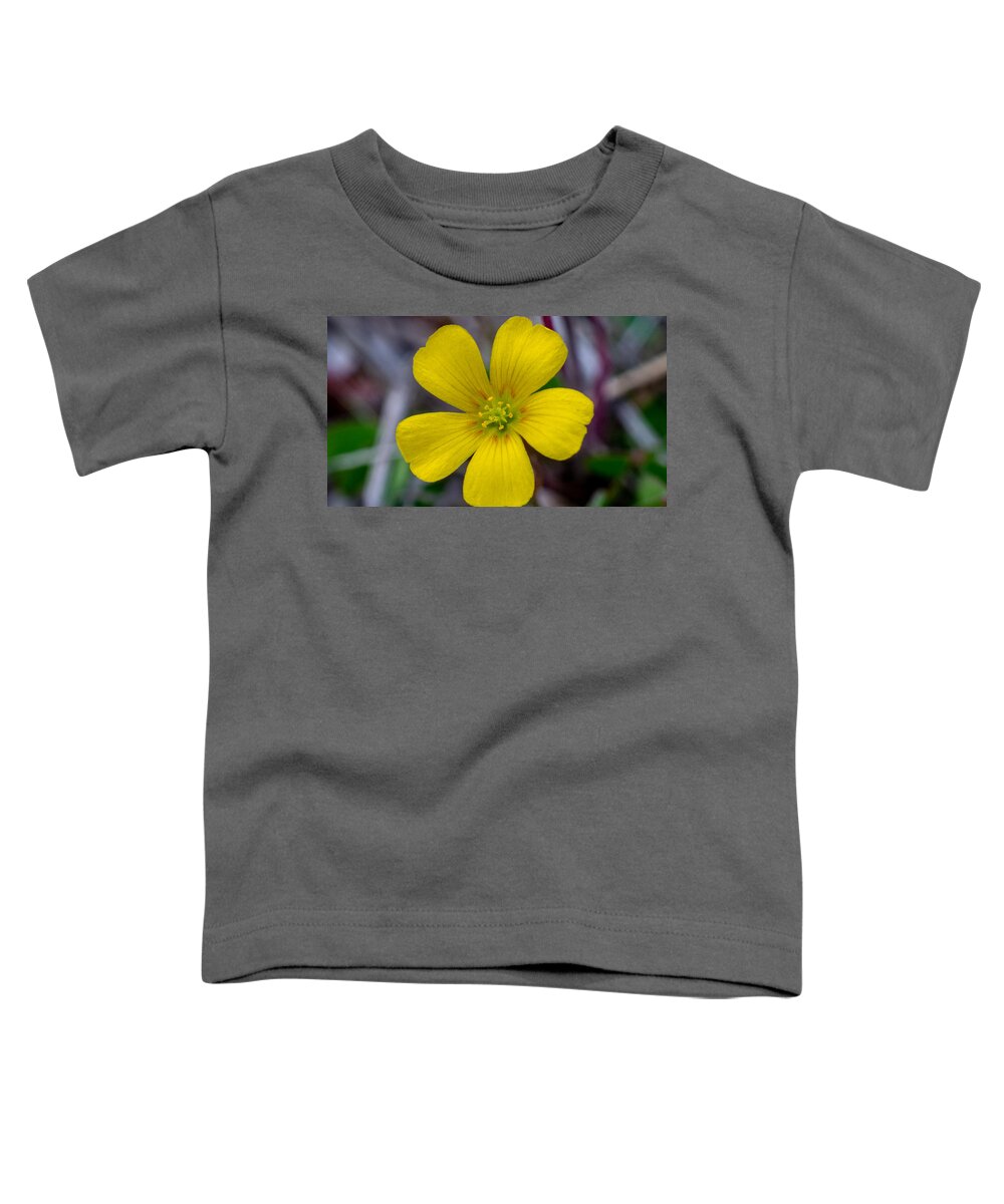 Flower Toddler T-Shirt featuring the photograph Ready and Waiting by Ivars Vilums