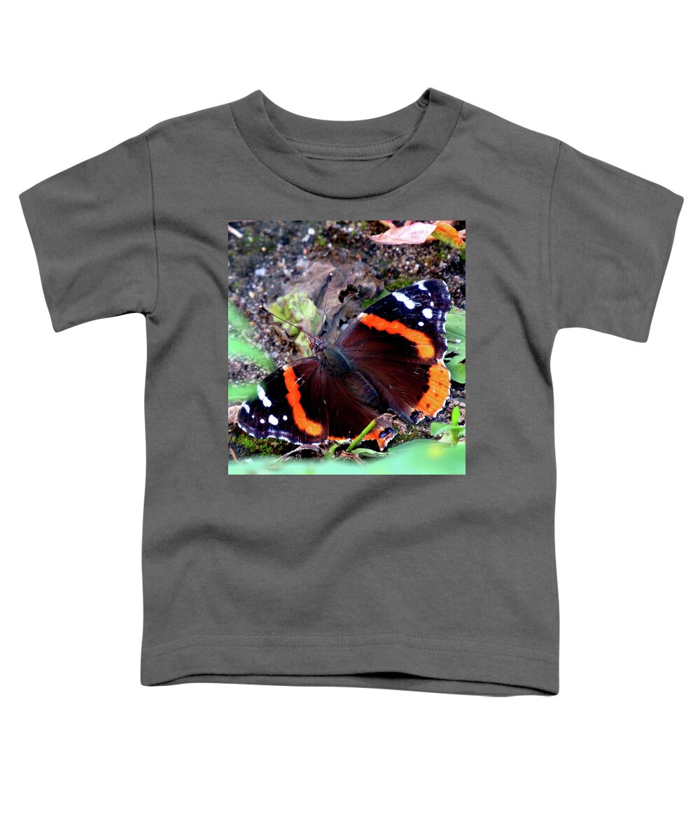Butterfly Toddler T-Shirt featuring the photograph Red Admiral Butterfly by Linda Stern
