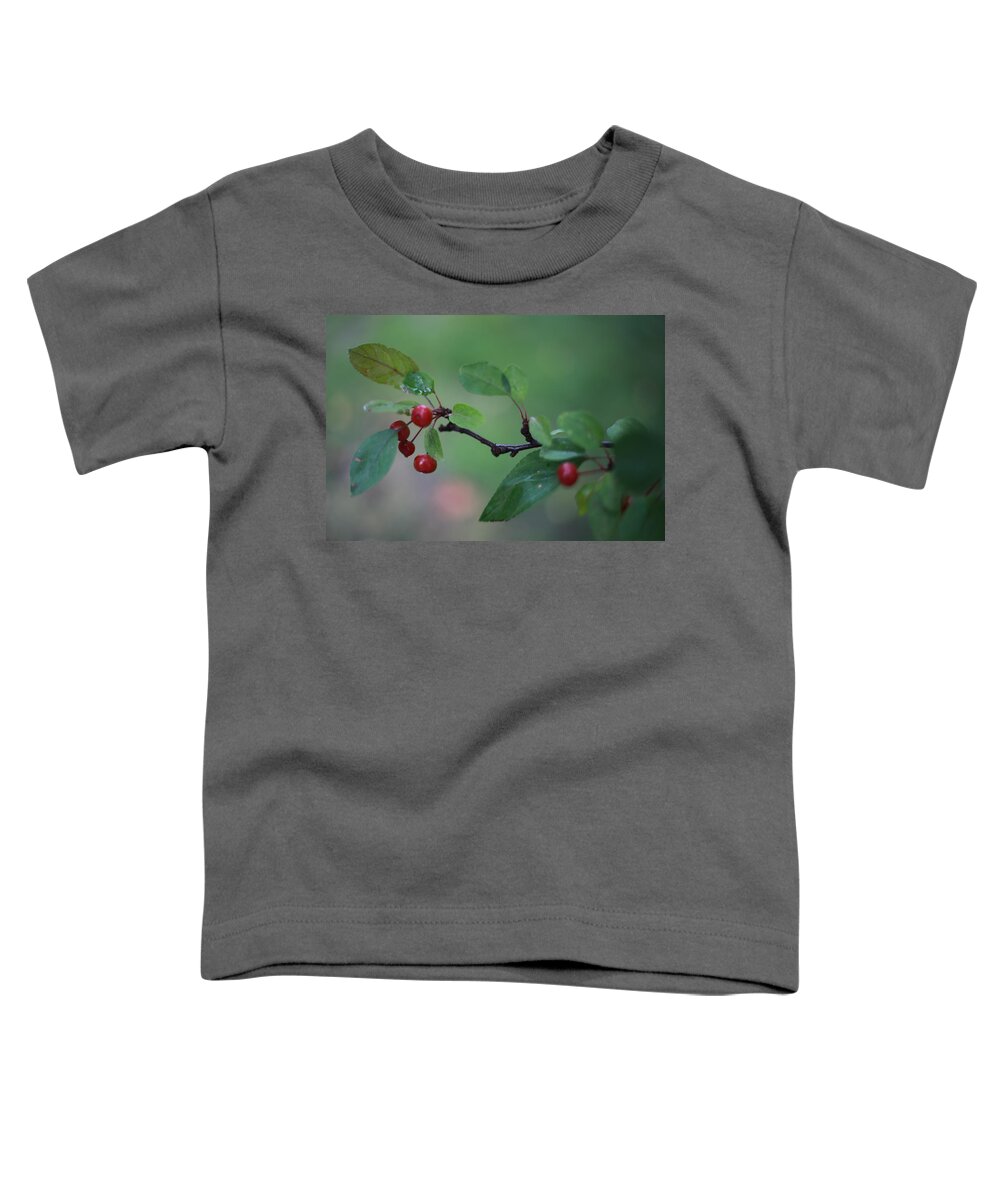 Green Toddler T-Shirt featuring the photograph Tiny Red Berries on a Branch by Laura Smith