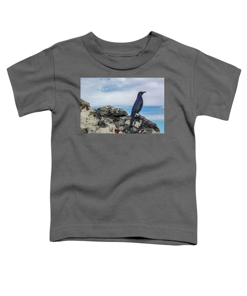 Red Toddler T-Shirt featuring the photograph Red-winged Starling Table Mountain by Douglas Wielfaert