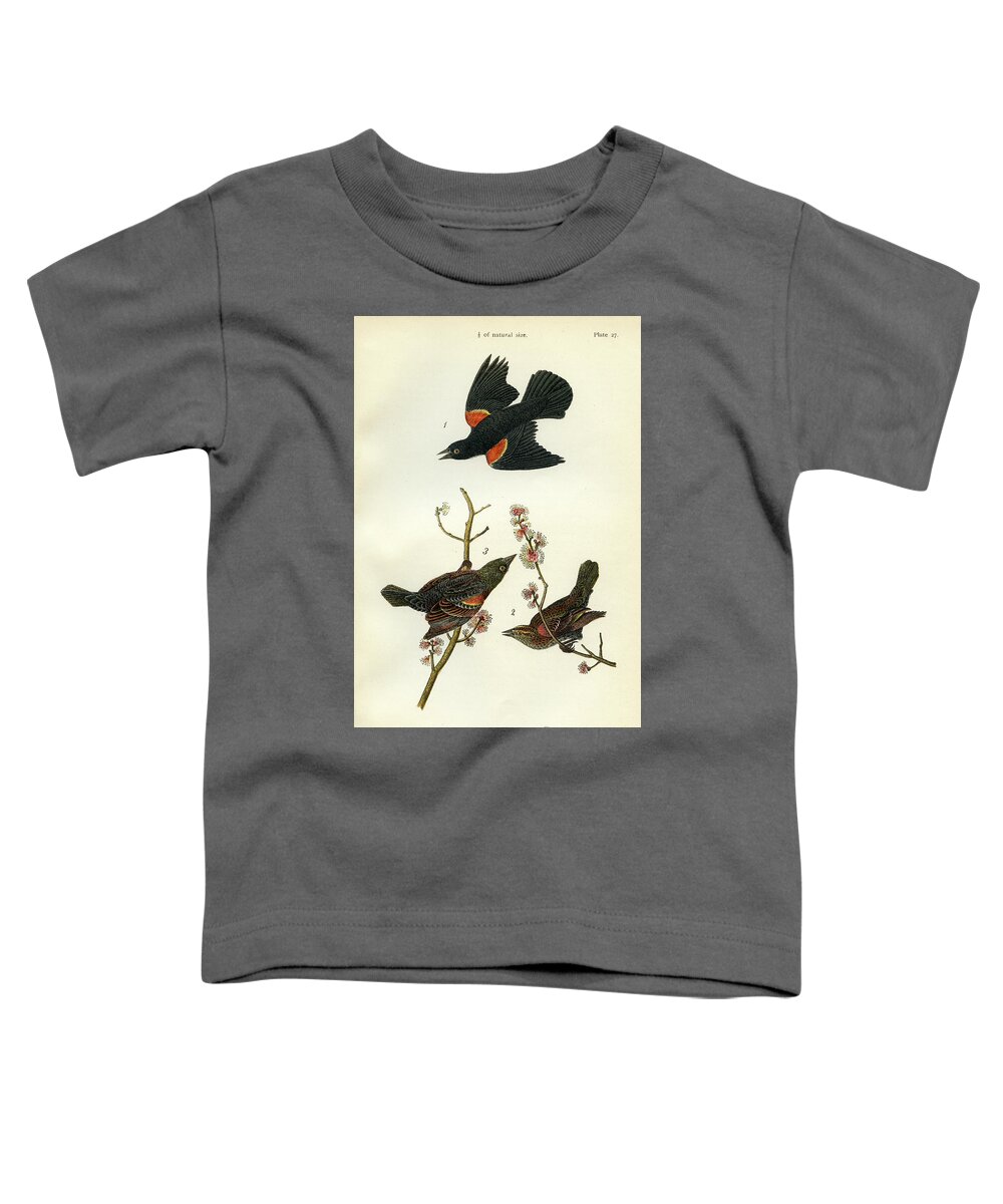 Bird Toddler T-Shirt featuring the mixed media Red-Winged Black-Bird by Unknown